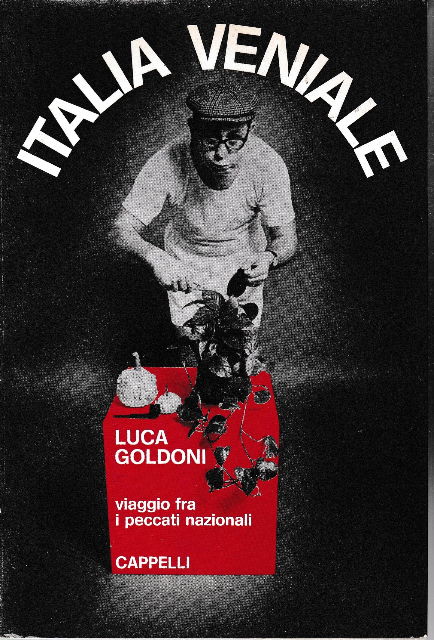 Italia veniale. Viaggio fra i peccati nazionali - copertina