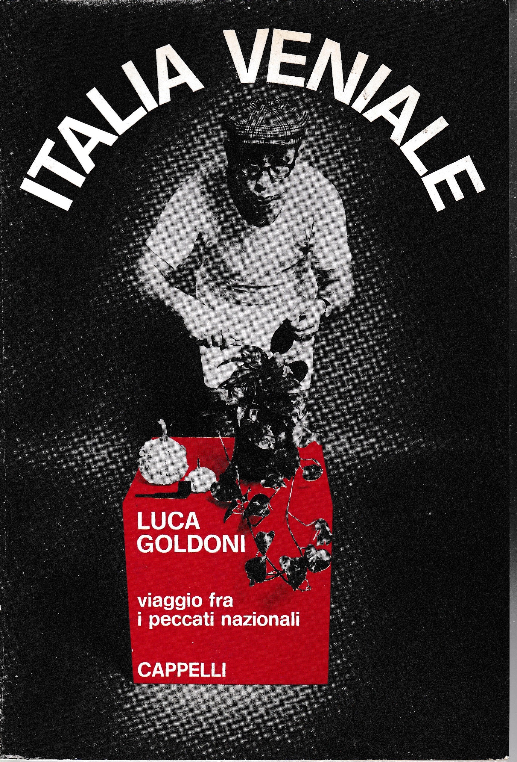 Italia veniale. Viaggio fra i peccati nazionali - copertina