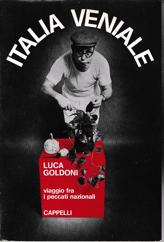 Italia veniale. Viaggio fra i peccati nazionali - copertina