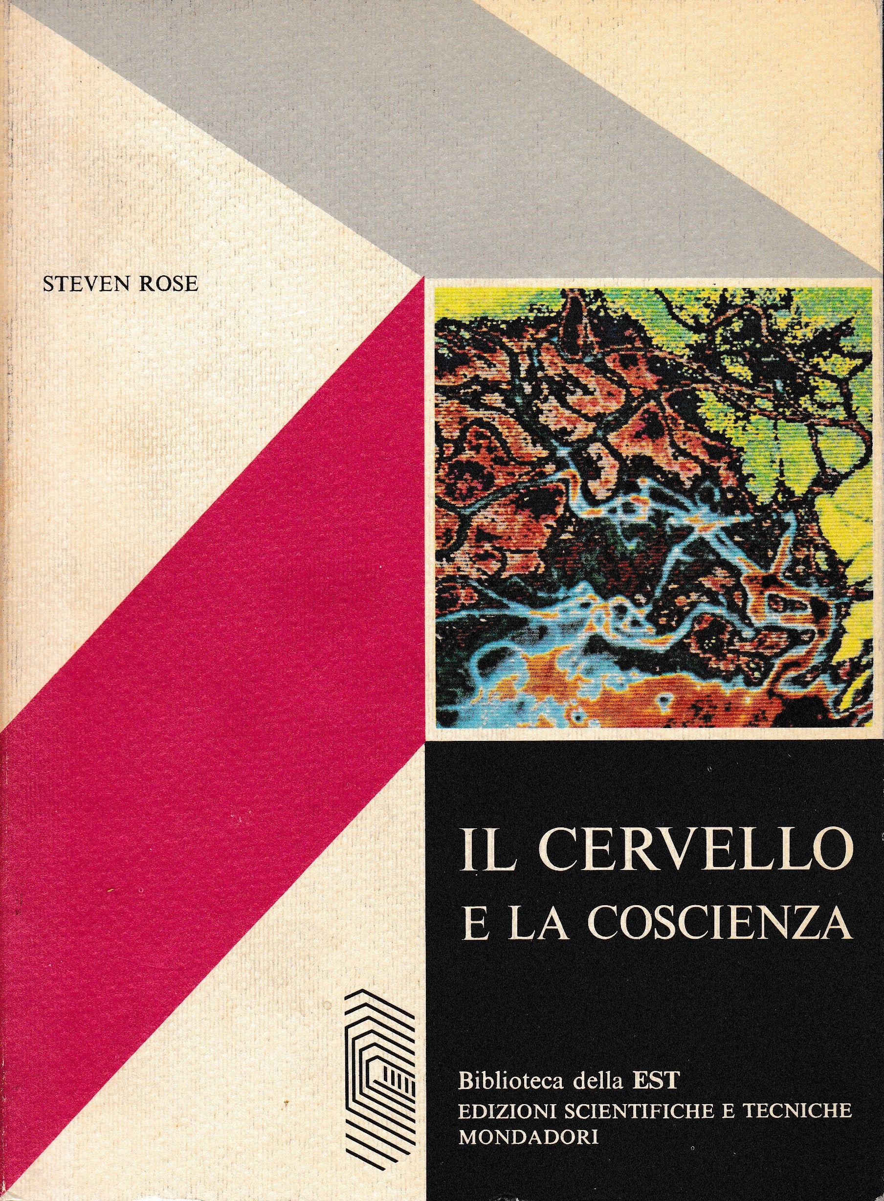 Il cervello e la coscienza - copertina