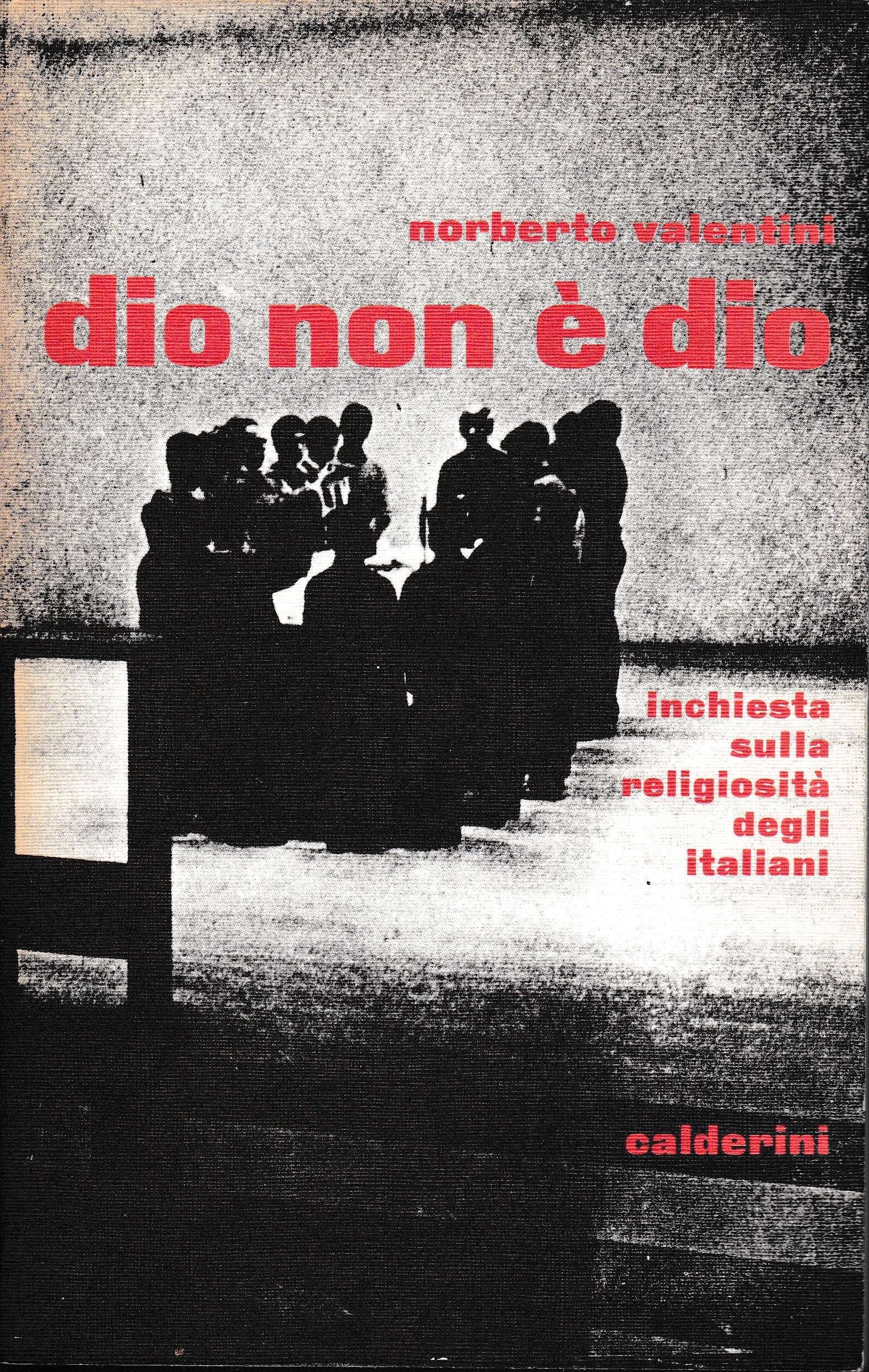Dio non è Dio. Inchiesta sulla religiosità degli italiani - copertina