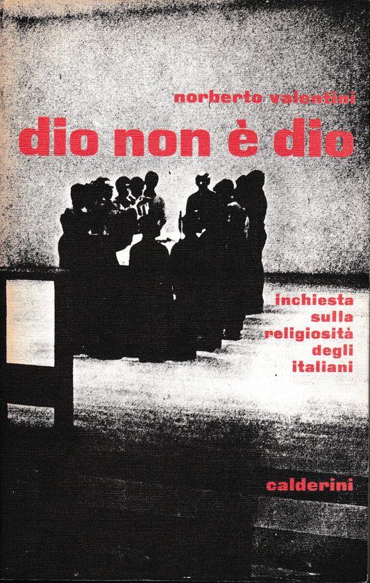 Dio non è Dio. Inchiesta sulla religiosità degli italiani - copertina
