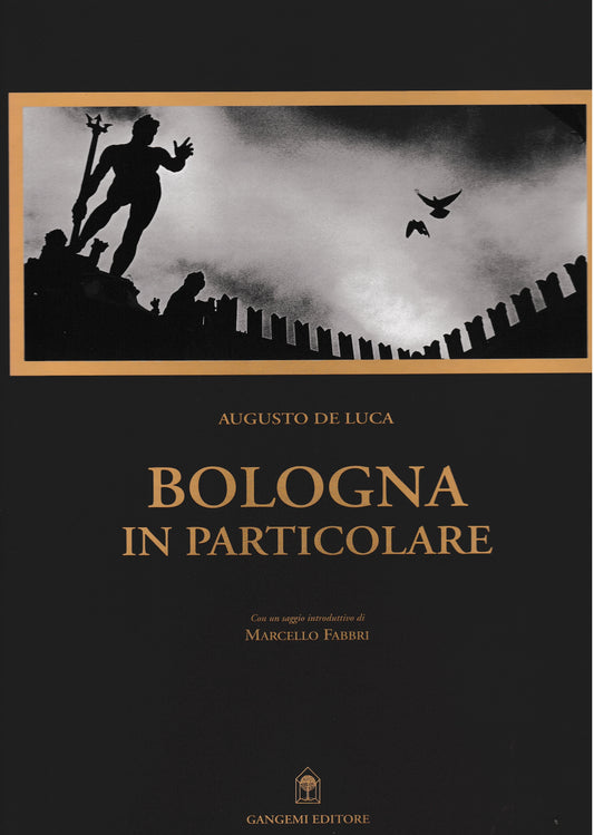 Bologna in particolare - copertina