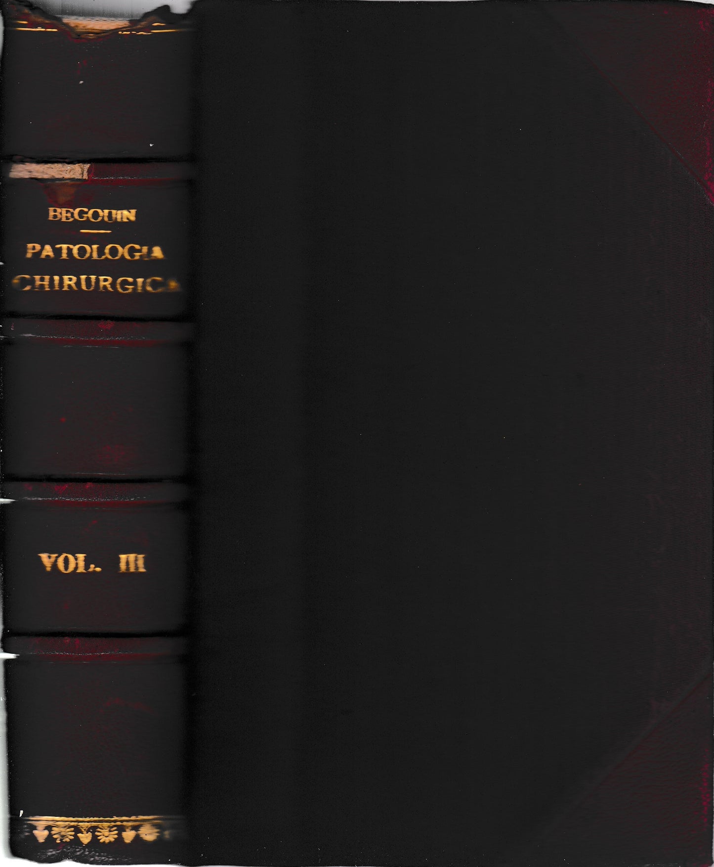 Compendio di Patologia Chirurgica 3° vol. - Ghiandole mammarie - Addome - Apparato G827enitale maschile - copertina