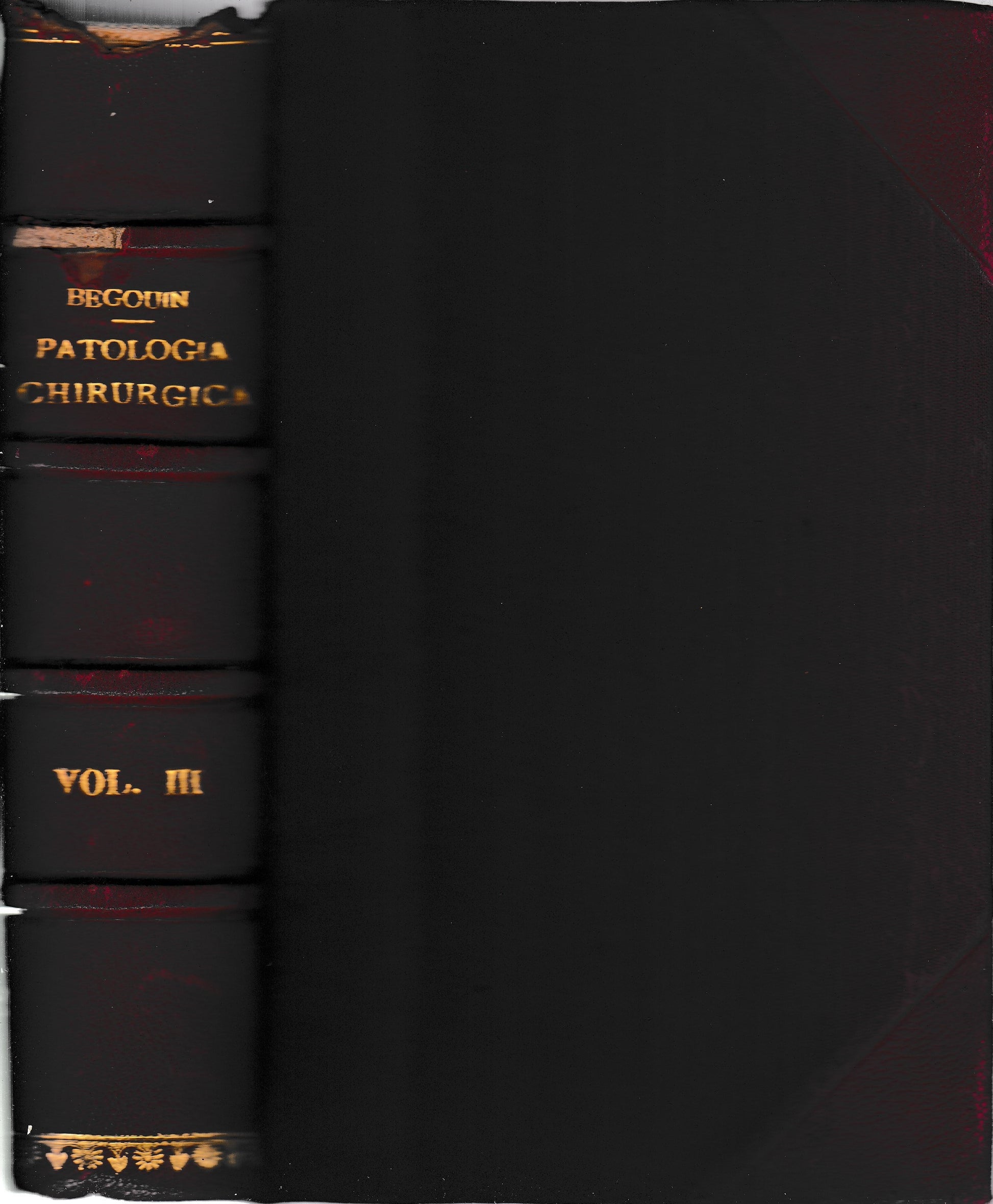 Compendio di Patologia Chirurgica 3° vol. - Ghiandole mammarie - Addome - Apparato G827enitale maschile - copertina