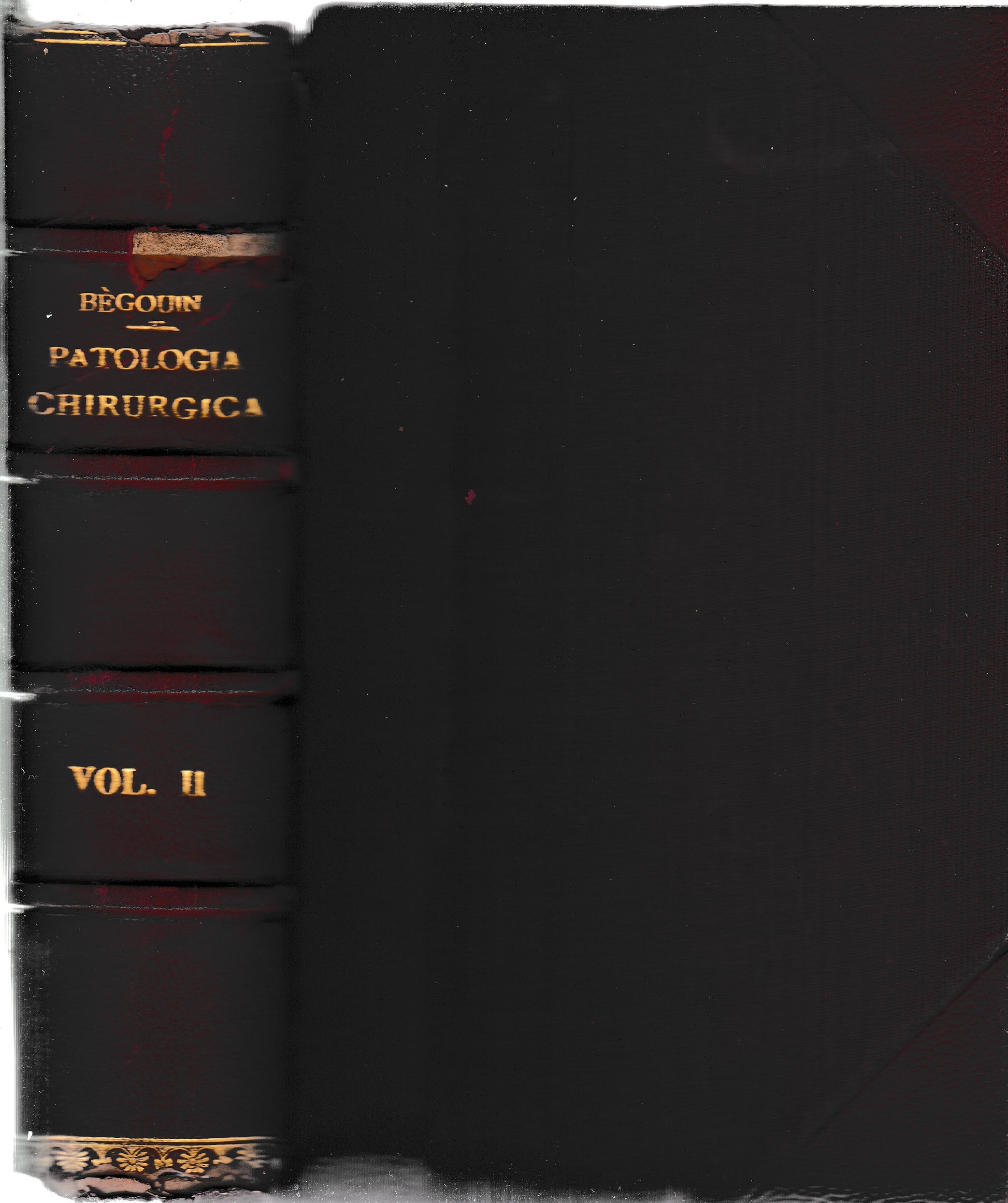 Compendio di Patologia Chirurgica 2° vol. Testa, Collo Torace - copertina