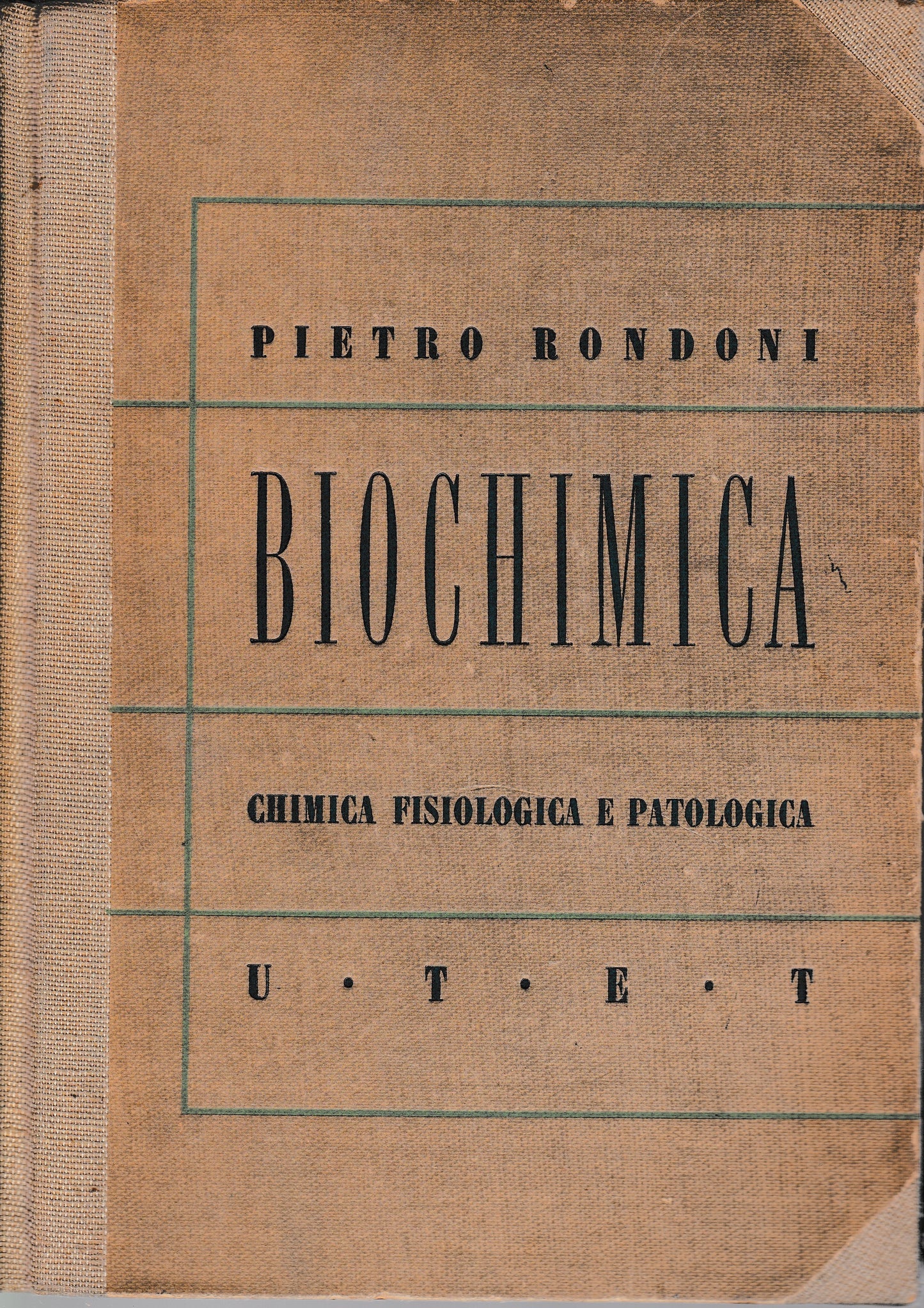 Elementi di Biochimica (Chimica fisiologica e patologica) - copertina