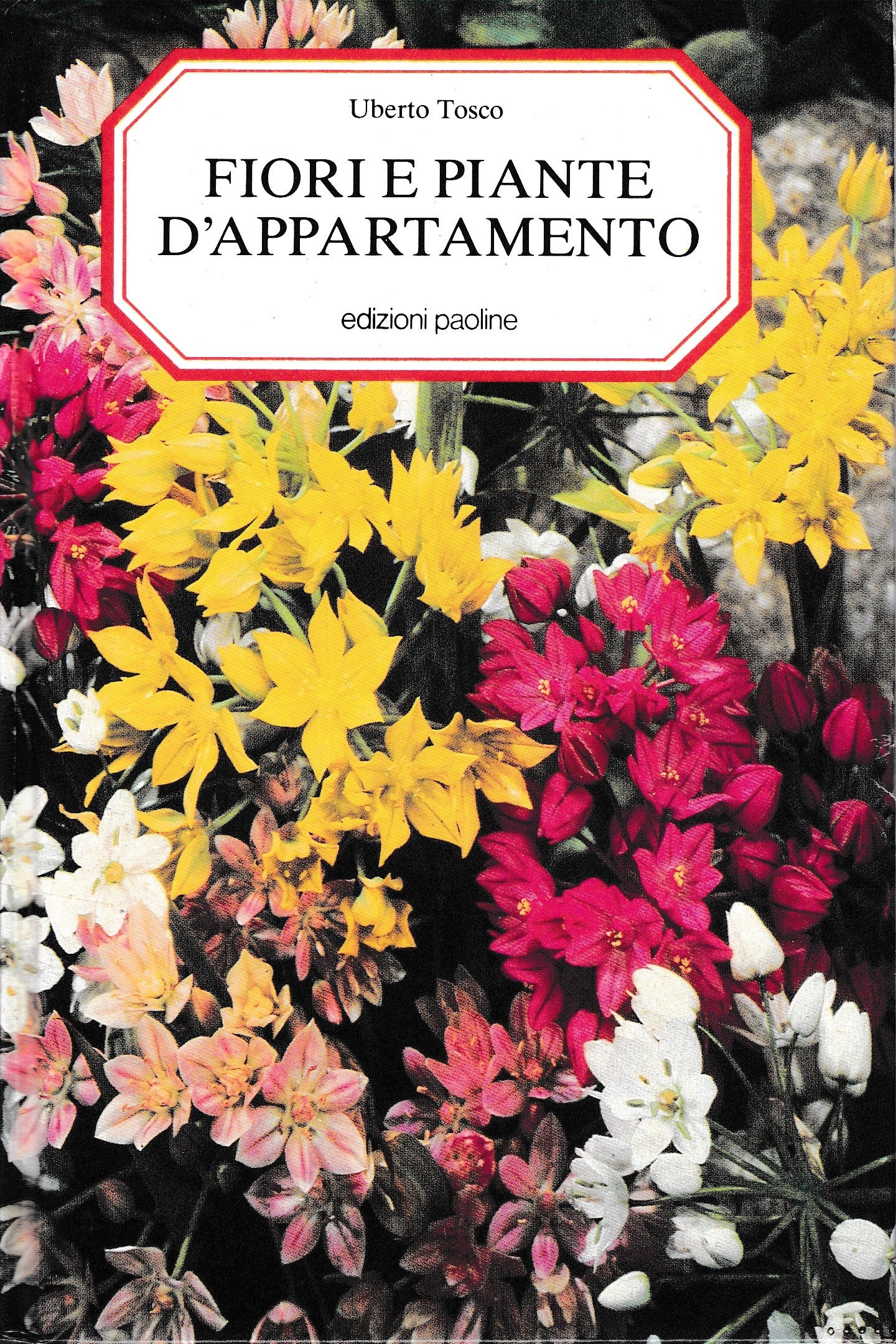 Fiori e piante d'appartamento - copertina