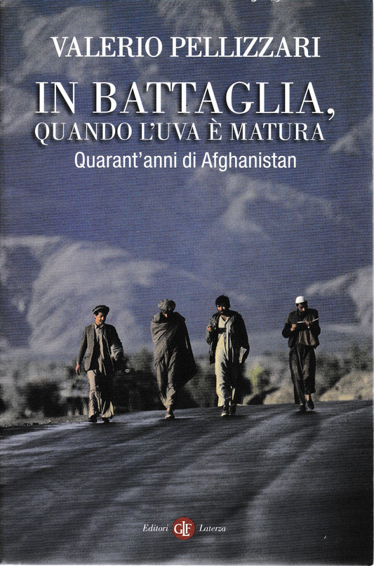 In battaglia, quando l'uva è matura. Quarant'anni di Afghanistan - copertina