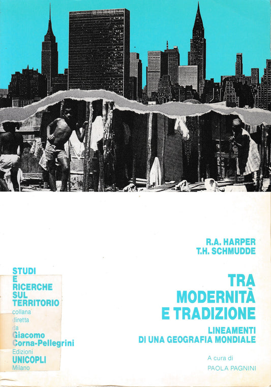 Tra modernità e tradizione. Lineamenti di geografia mondiale - copertina
