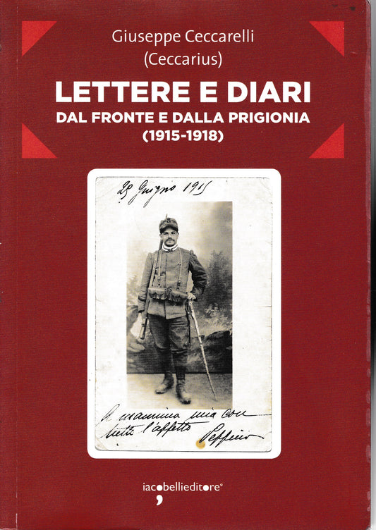 Lettere e diari dal fronte e dalla prigionia (1915-1918) - copertina