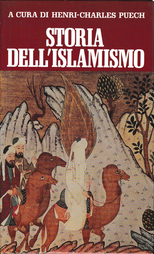 Storia dell'Islamismo - copertina