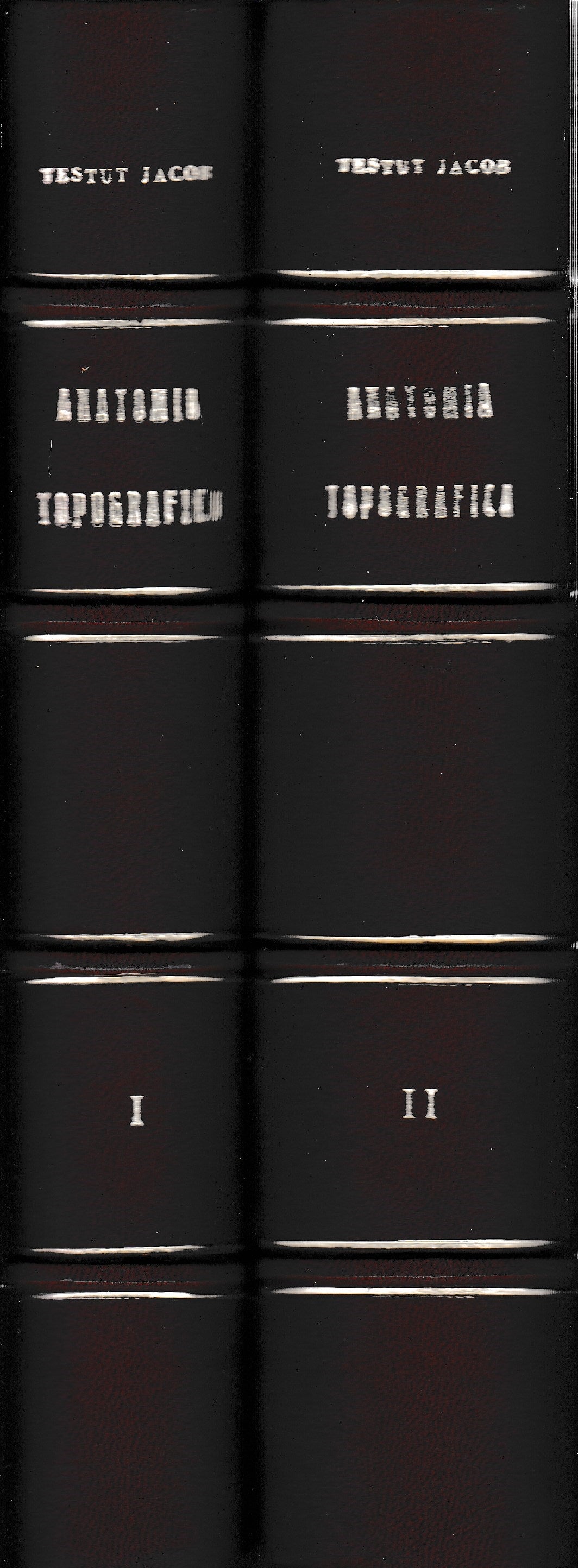 Trattato di Anatomia Topografica. Volumi I-II - copertina