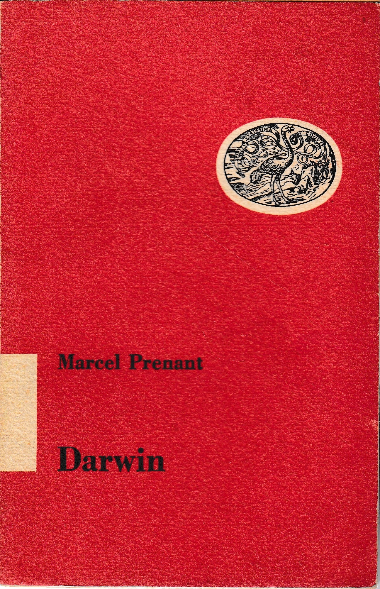 Darwin - copertina