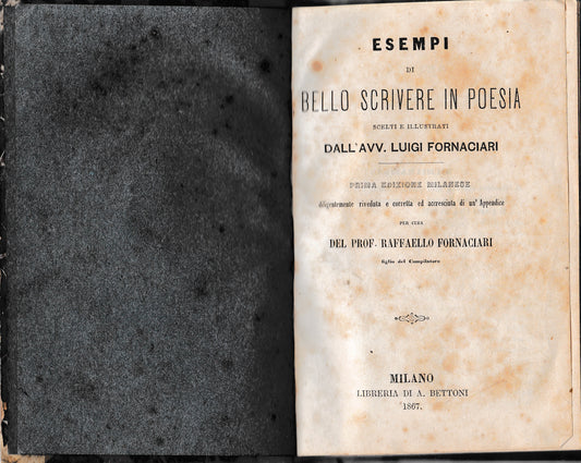 Esempi di bello scrivere in poesia - copertina