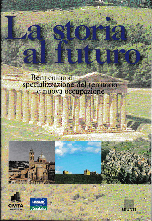 La storia al futuro. Beni culturali, specializzazione del territorio e nuova occupazione - copertina