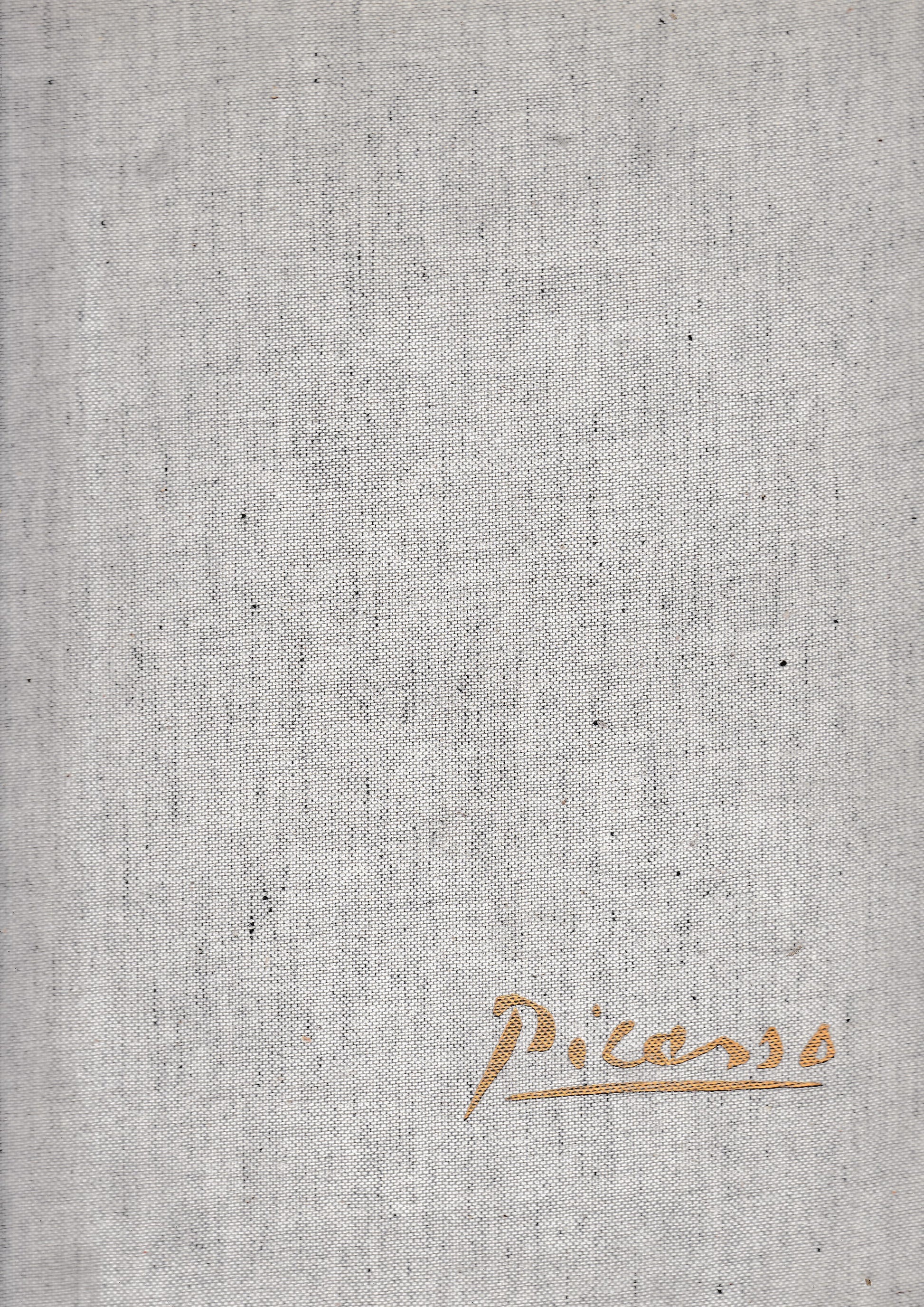 Picasso - copertina