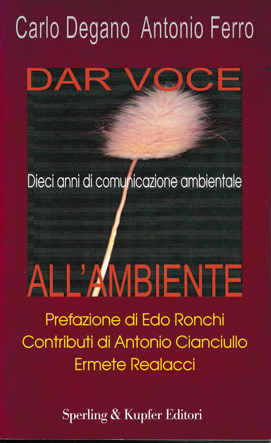 Dar voce all'ambiente - copertina