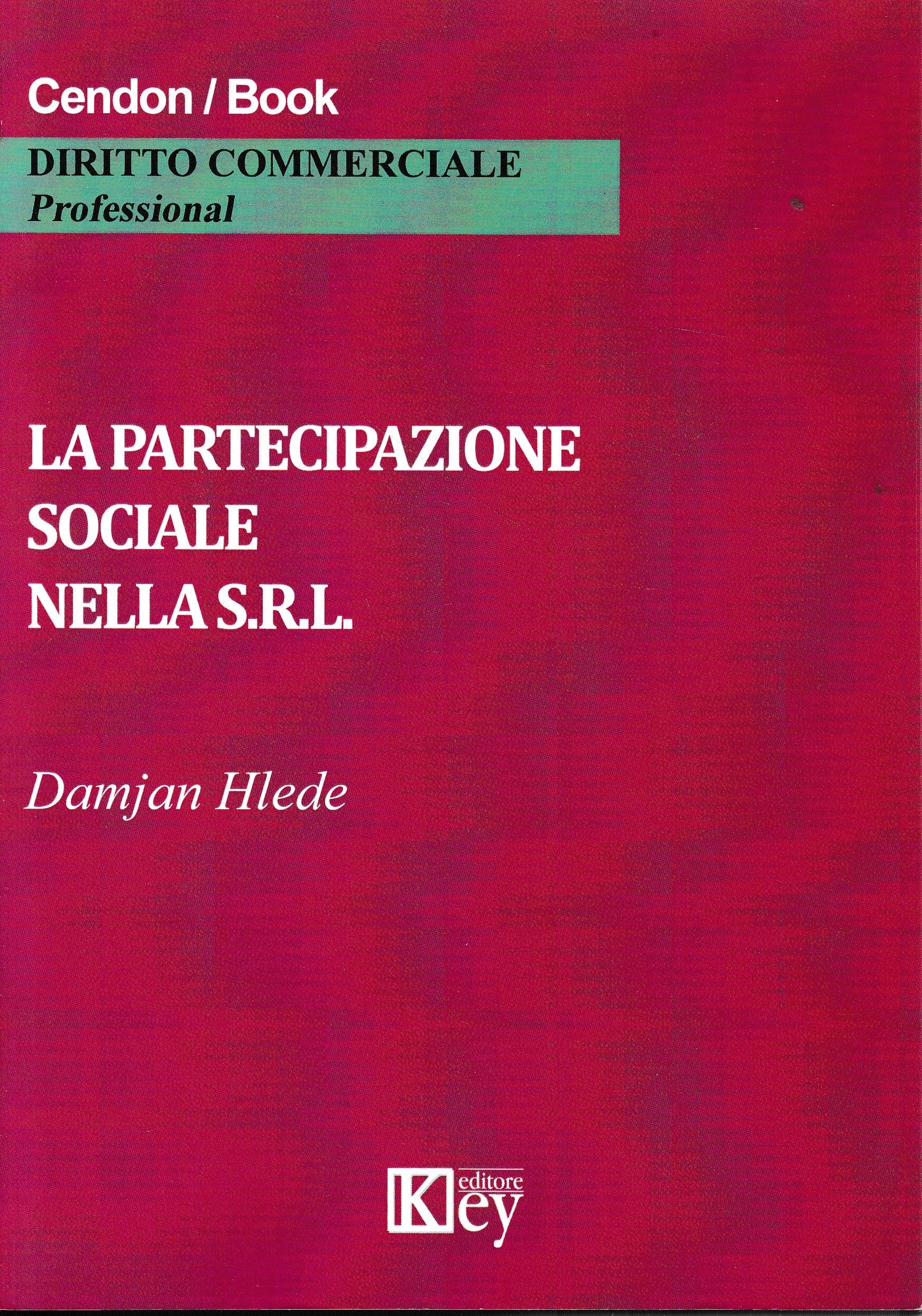 La partecipazione sociale nella s.r.l. - copertina