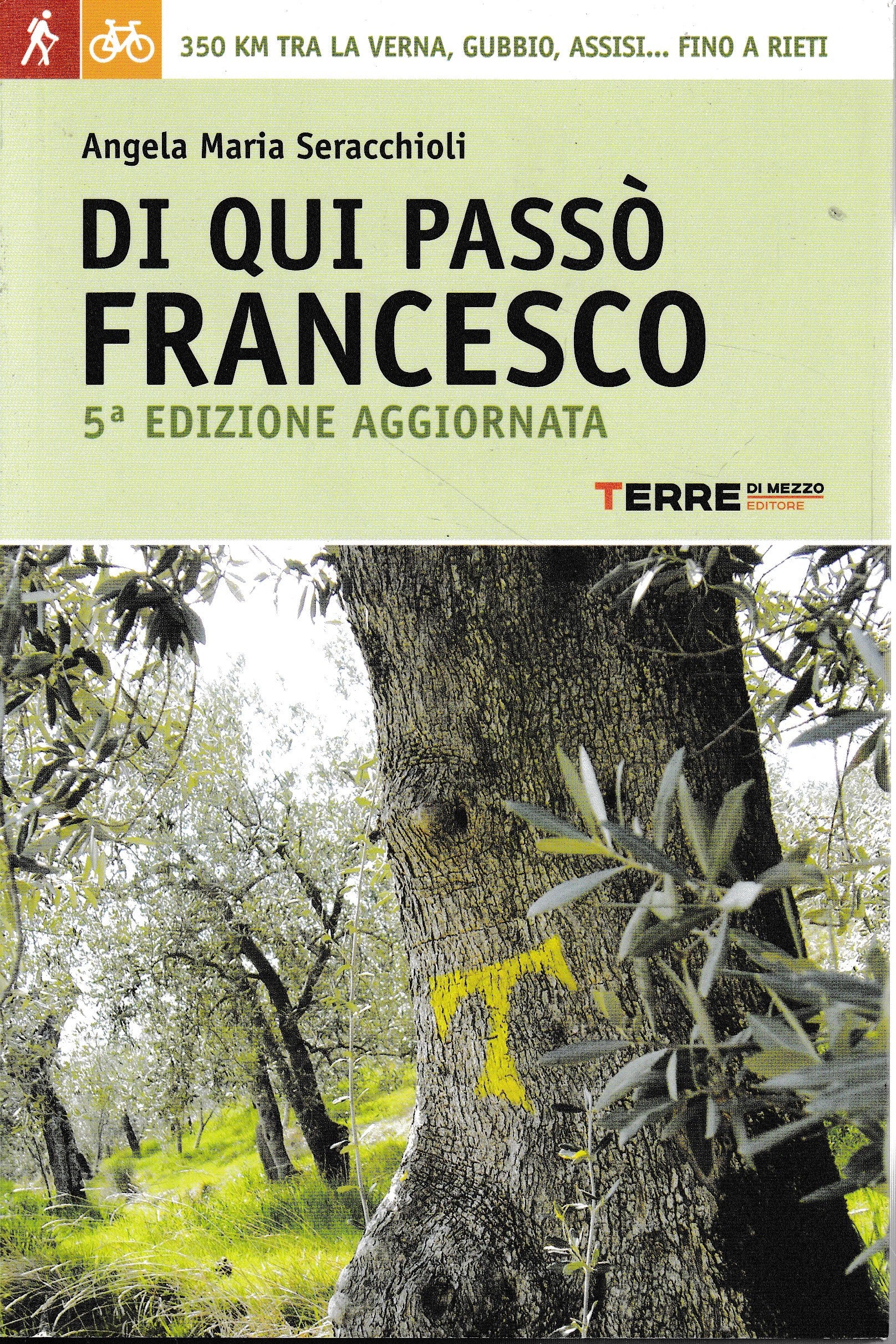 Di qui passò Francesco. 350 chilometri a piedi tra La Verna, Gubbio, Assisi.. fino a Rieti - copertina