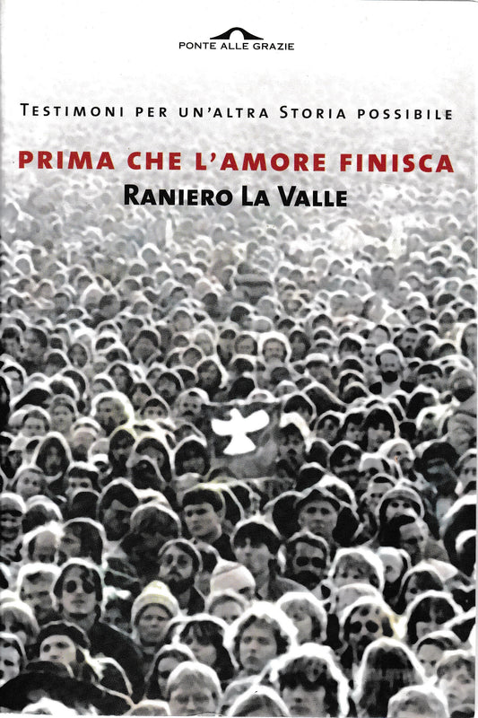 Prima che l'amore finisca. Testimoni per un'altra storia possibile - copertina