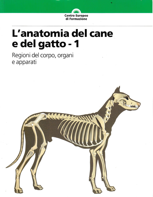 L'anatomia del cane e del gatto - 1 - copertina