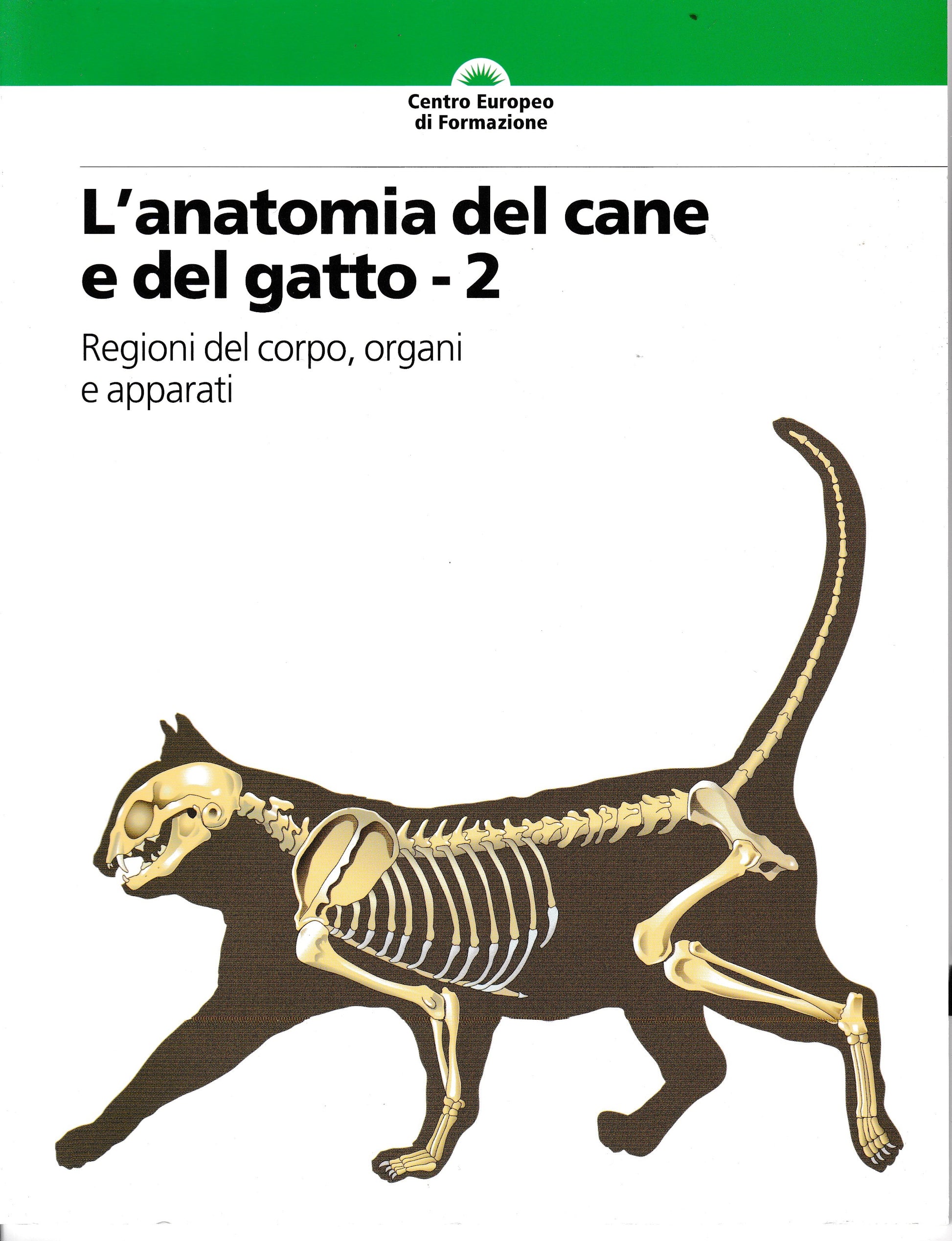 L'anatomia del cane e del gatto - 2 - copertina