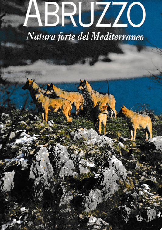 Abruzzo. Natura forte del Mediterraneo. Testo in Inglese e Italiano - copertina