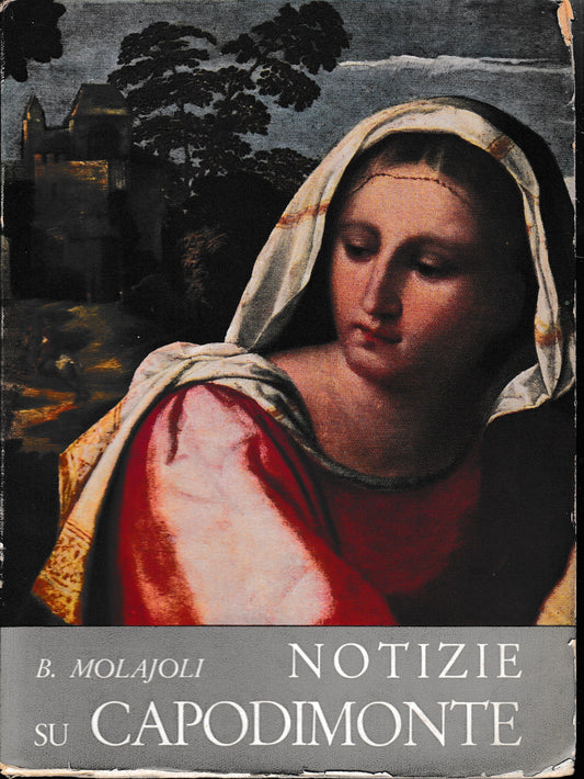 Notizie su Capodimonte. Catalogo delle gallerie e del museo - copertina