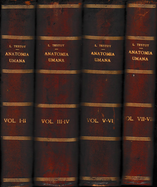 Anatomia Umana, dodici volumi. - copertina