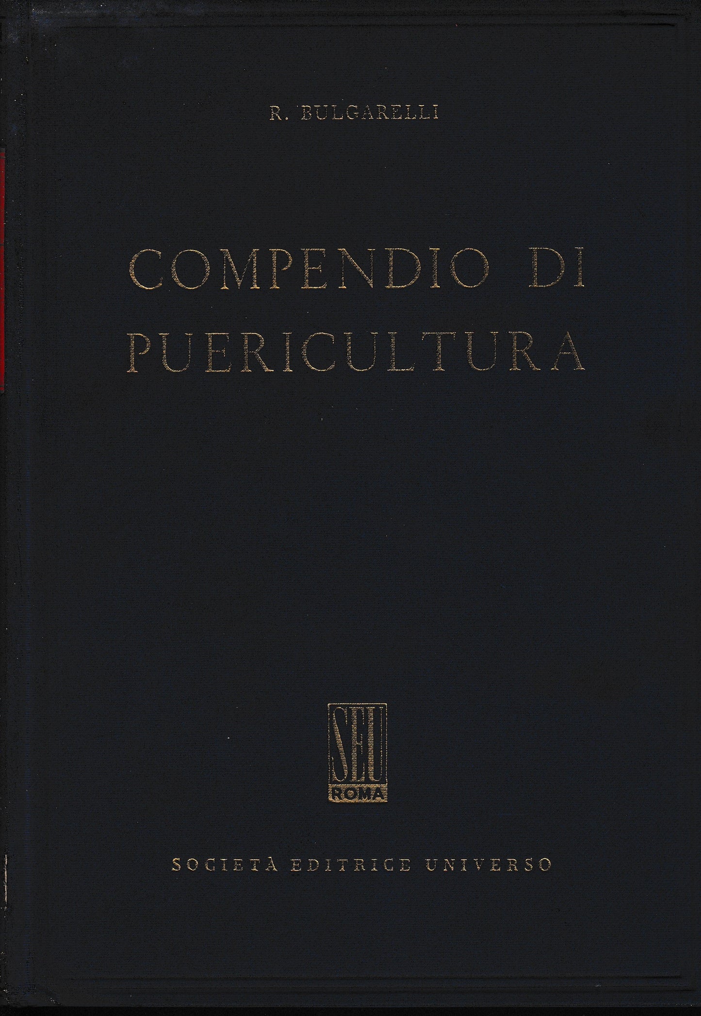 Compendio di Puericultura - copertina