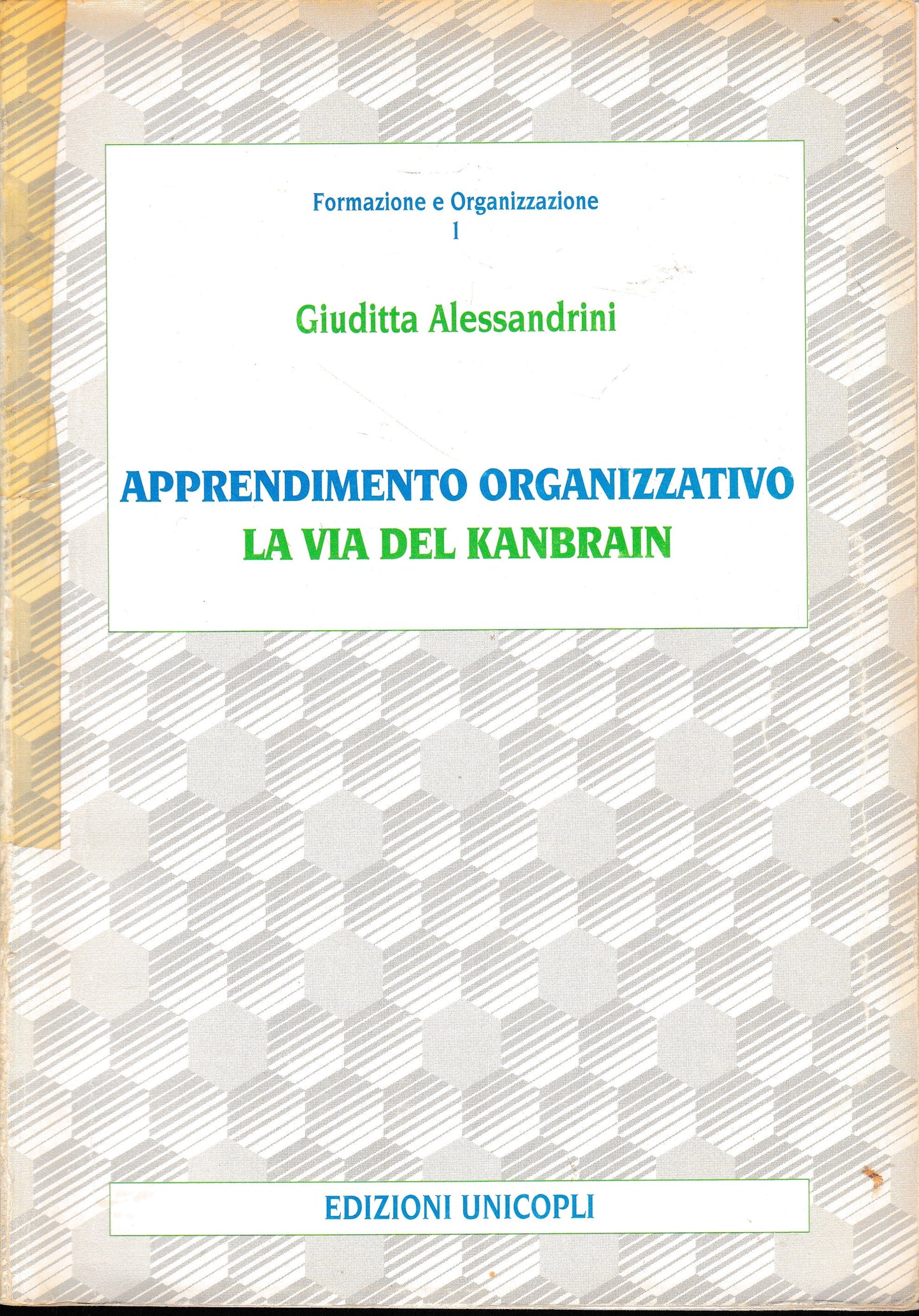 Apprendimento organizzativo. La via del Kanbrain - copertina