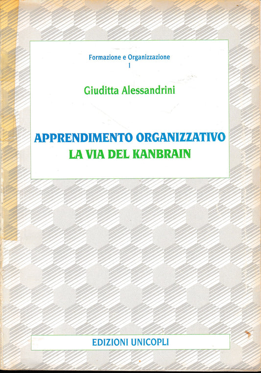 Apprendimento organizzativo. La via del Kanbrain - copertina