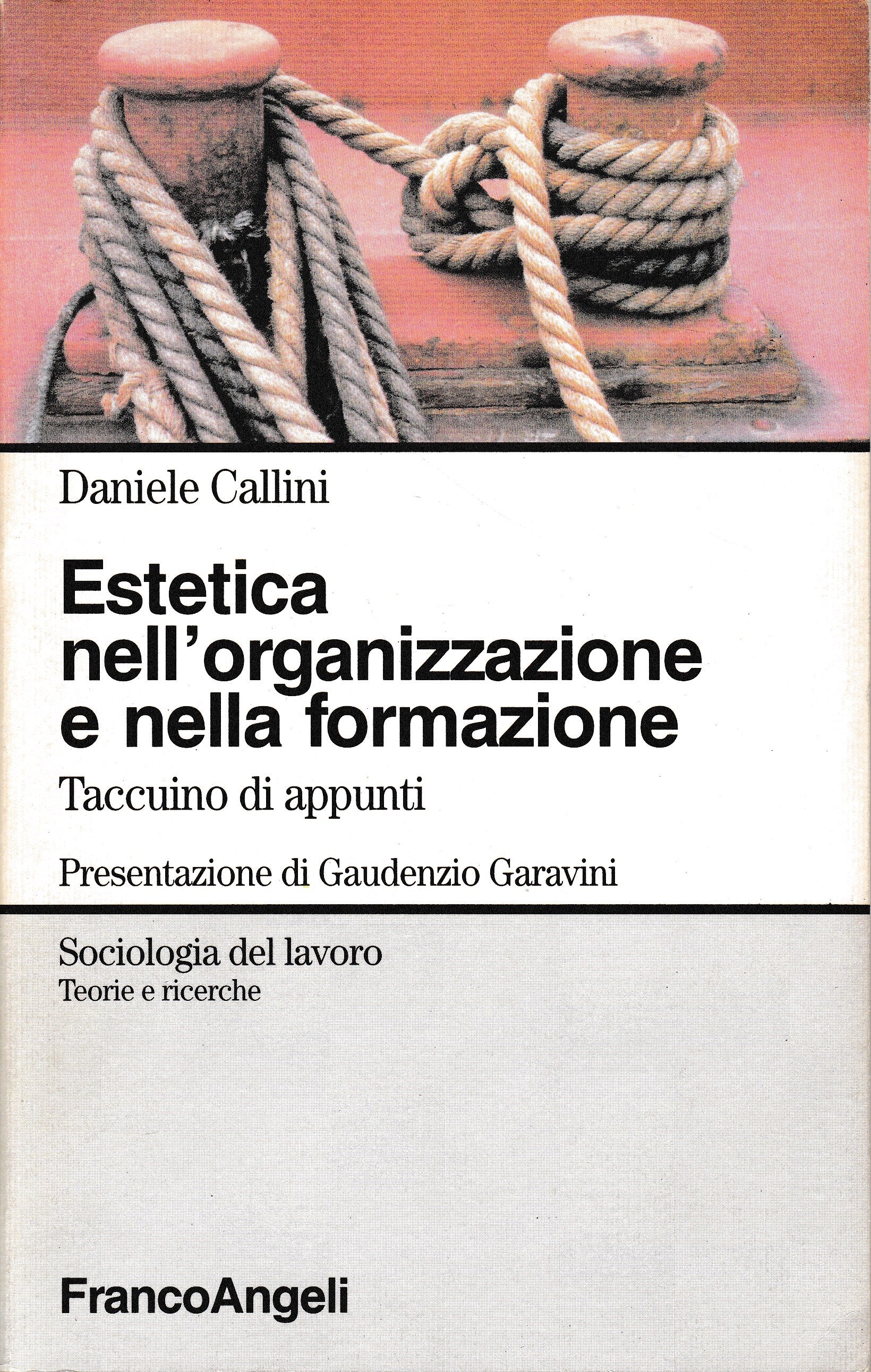 Estetica nell'organizzazione e nella formazione. Taccuino di appunti - copertina