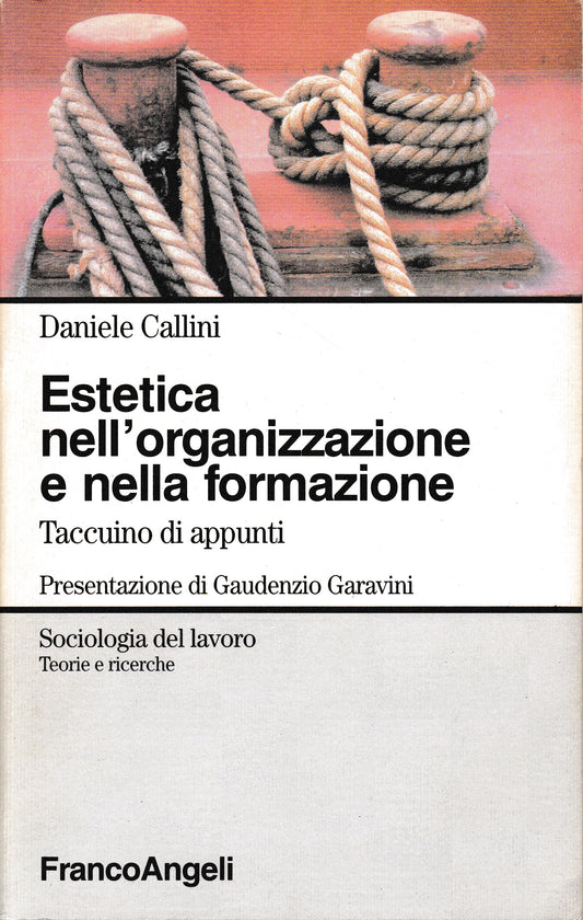 Estetica nell'organizzazione e nella formazione. Taccuino di appunti - copertina