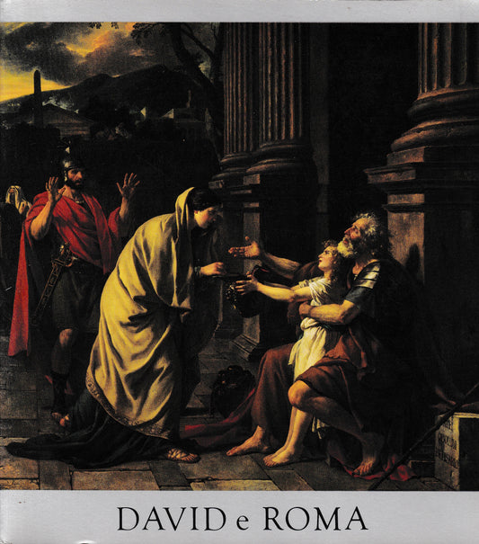 David e Roma. Edizione Francese e Italiano - copertina