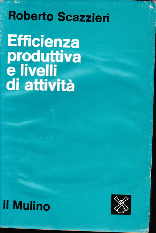Efficienza produttiva e livelli di attività - copertina
