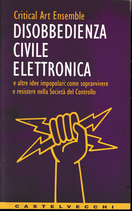 Disobbedienza civile elettronica e altre idee impopolari: come sopravvivere e resistere nella società del controllo - copertina