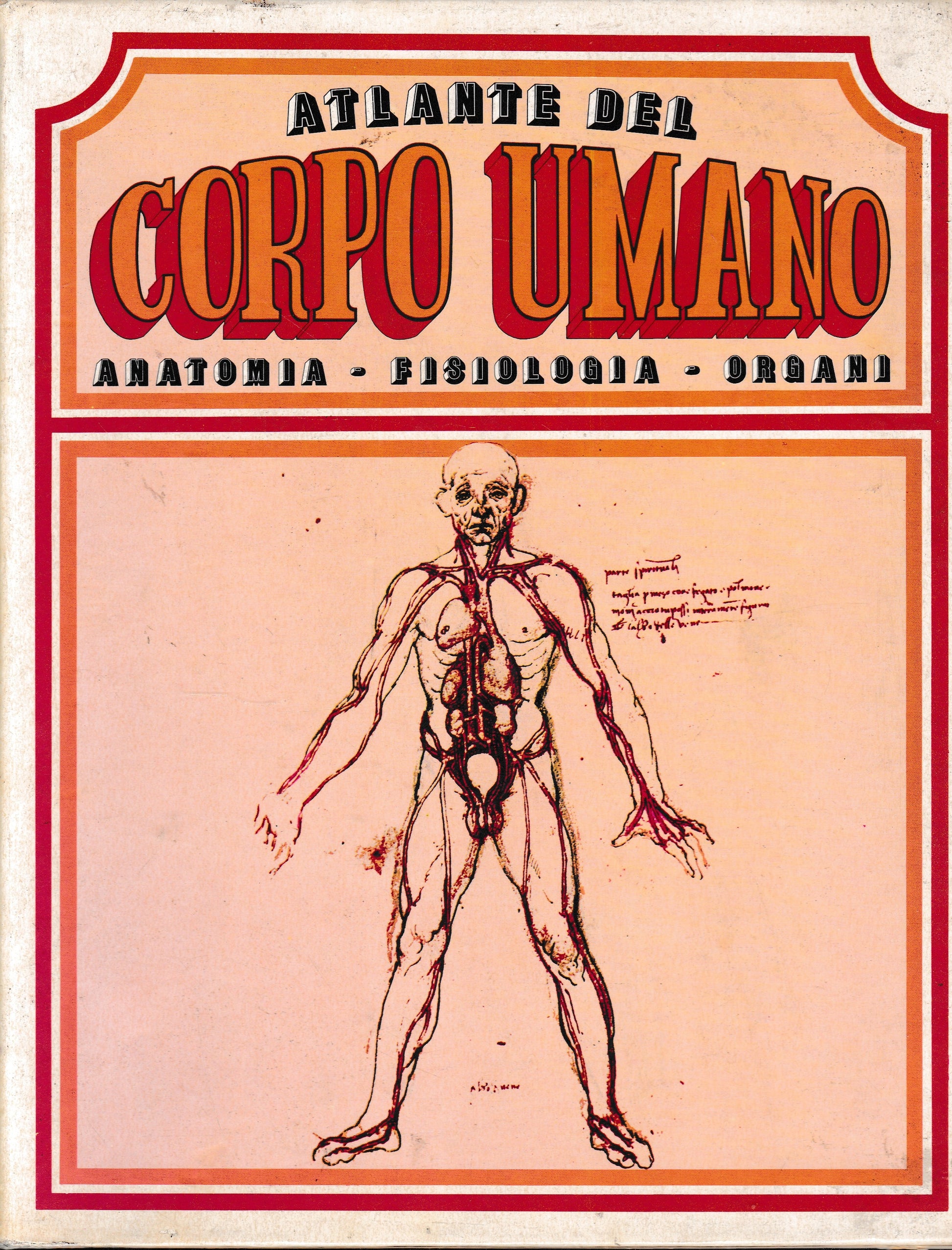 Atlante del corpo umano. Anatomia - Fisiologia - Organi - copertina
