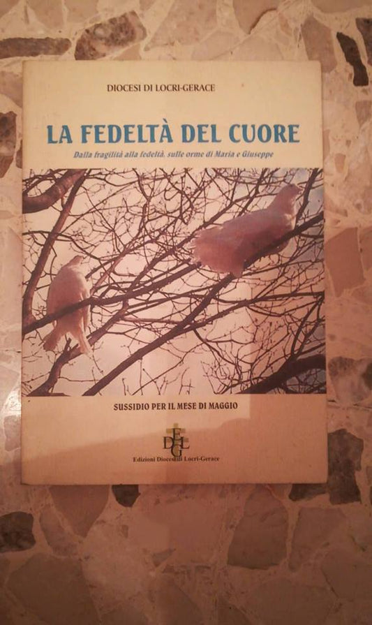 la fedeltà del cuore dalla fragilità alla fedeltà sulle orme di maria e giuseppe - copertina