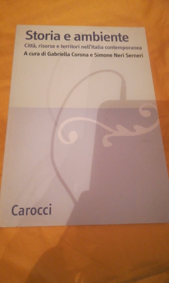 storia e ambiente città risorse e territori nell'italia contemporanea - copertina