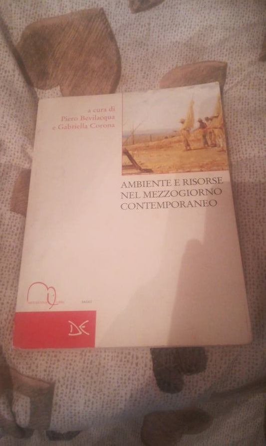 Ambienti e risorse nel Mezzogiorno contemporaneo - copertina