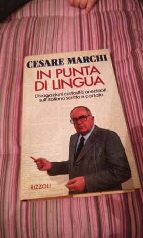 in punta di lingua - copertina