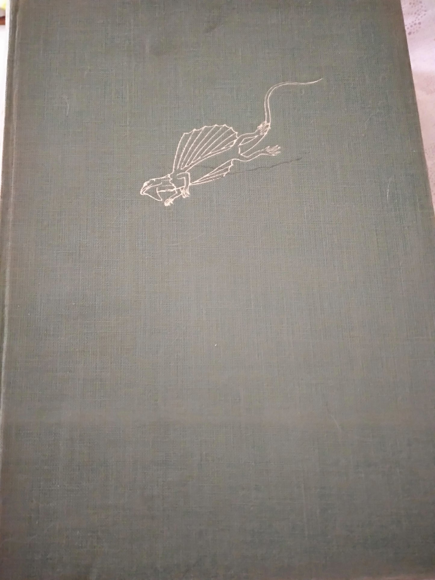 Vita prodigiosa degli animali - copertina