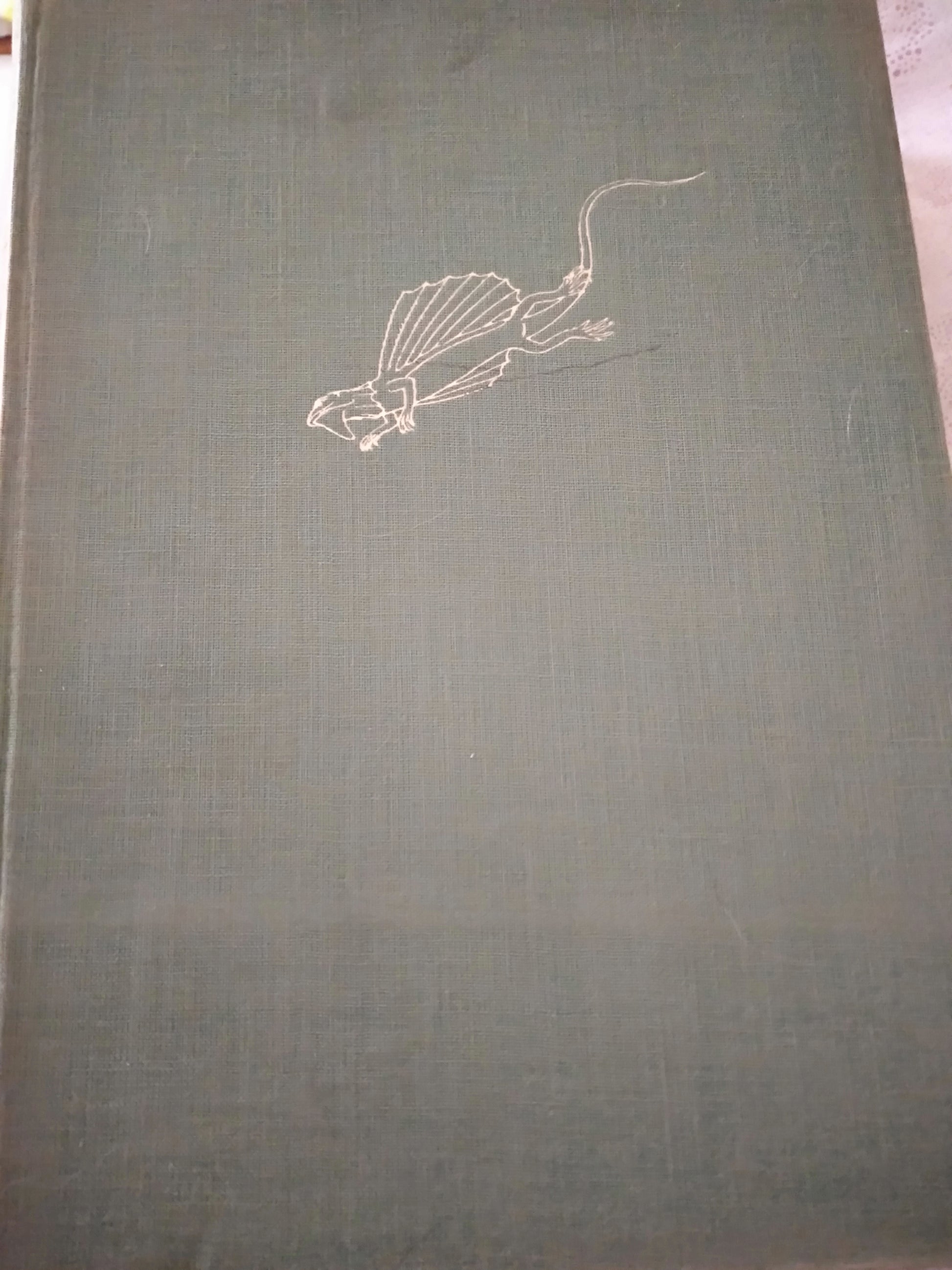 Vita prodigiosa degli animali - copertina