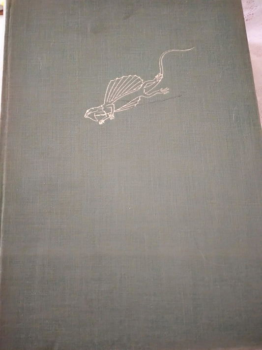 Vita prodigiosa degli animali - copertina