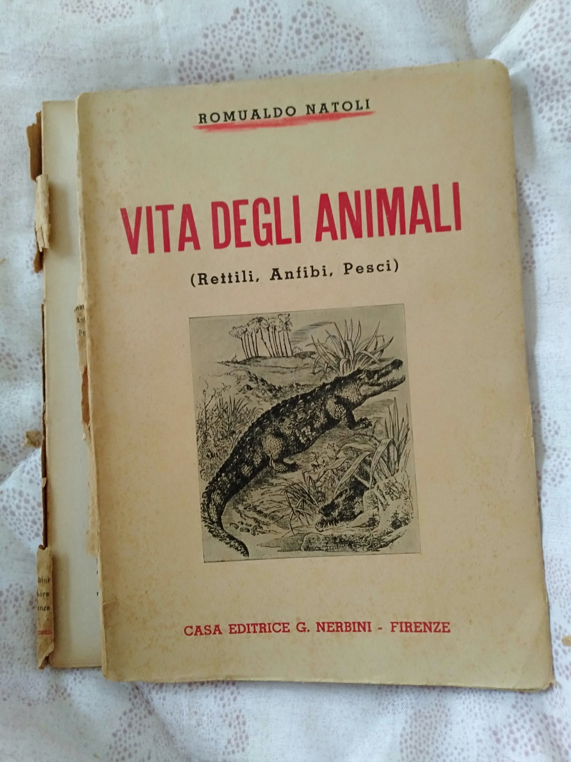 Vita degli animali rettili anfibi pesci - copertina