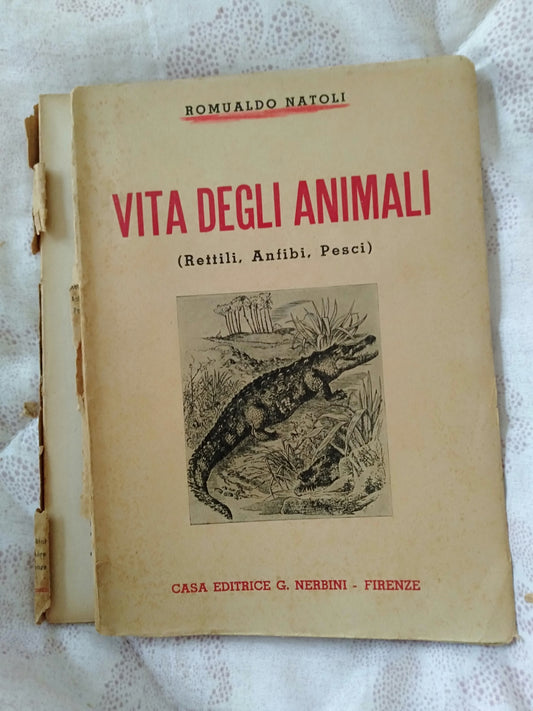 Vita degli animali rettili anfibi pesci - copertina