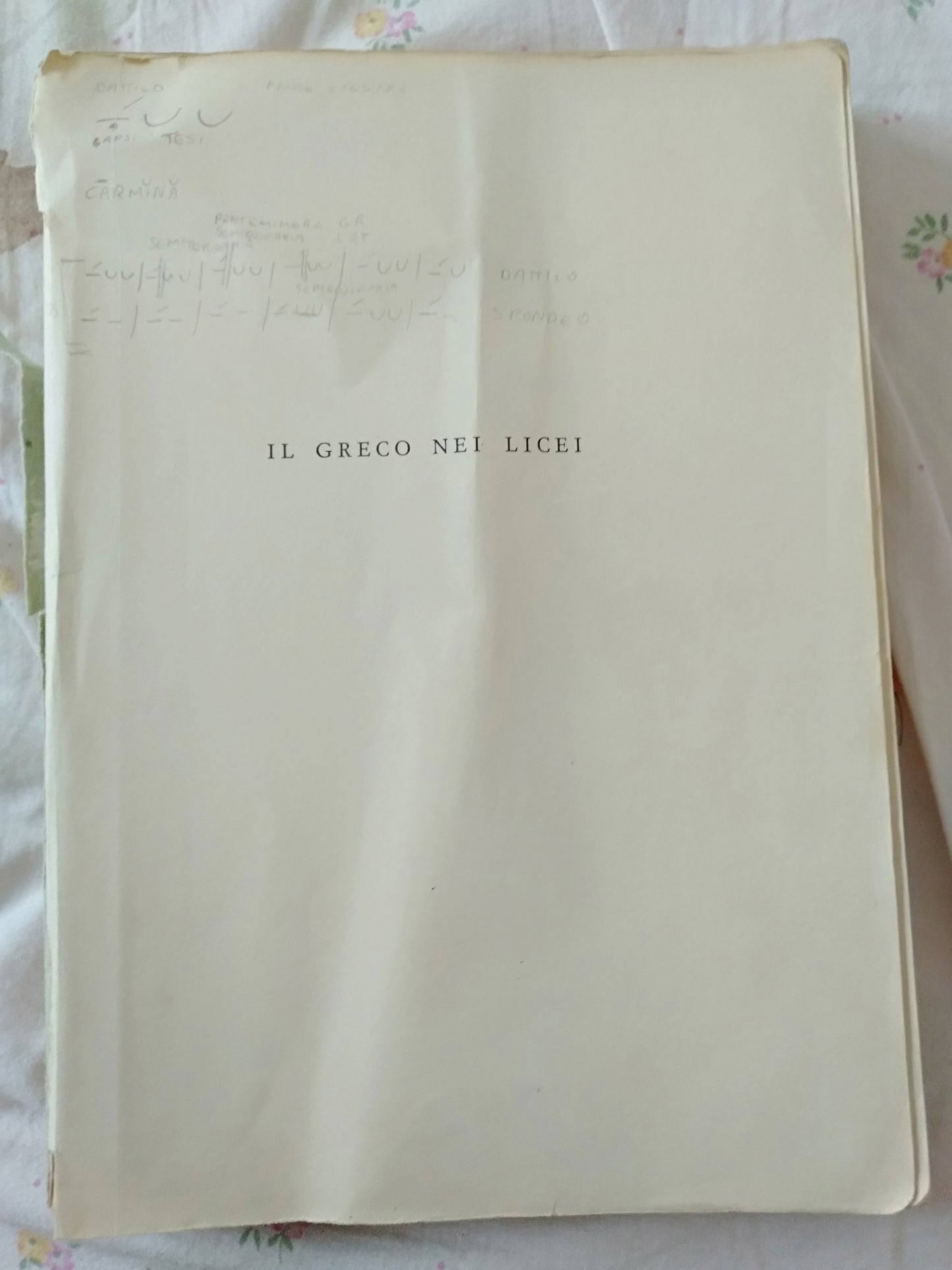 Il greco nei licei manuale per lo studio del greco nei licei classici seconda edizione - copertina