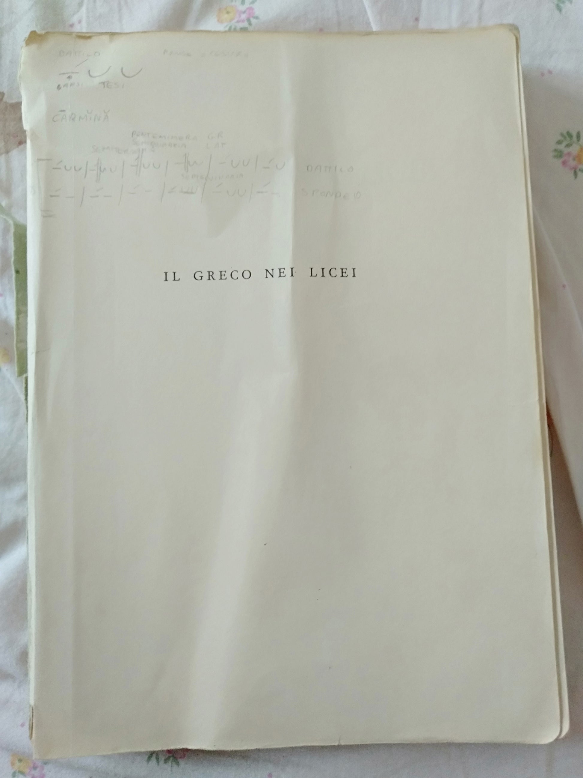 Il greco nei licei manuale per lo studio del greco nei licei classici seconda edizione - copertina